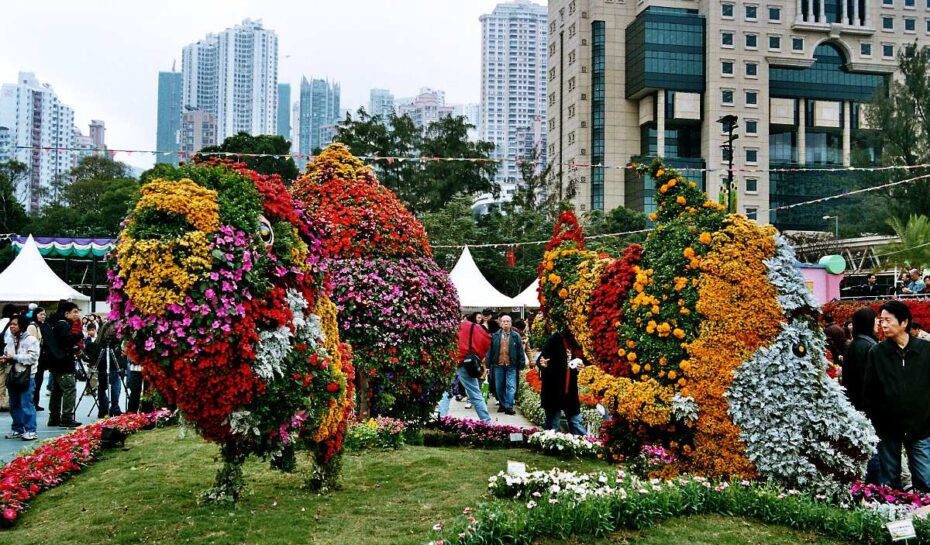 Hong Kong – Flower Show